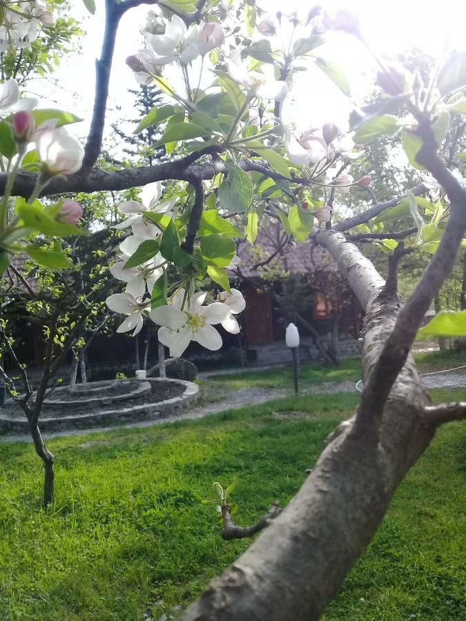 Kish Adasi Şǝki Zewnętrze zdjęcie
